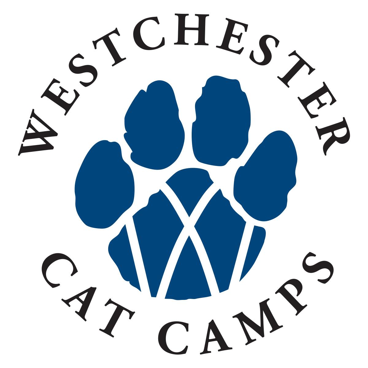 Summer Cat Camps