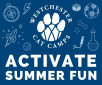 Summer Cat Camp Registration Opens